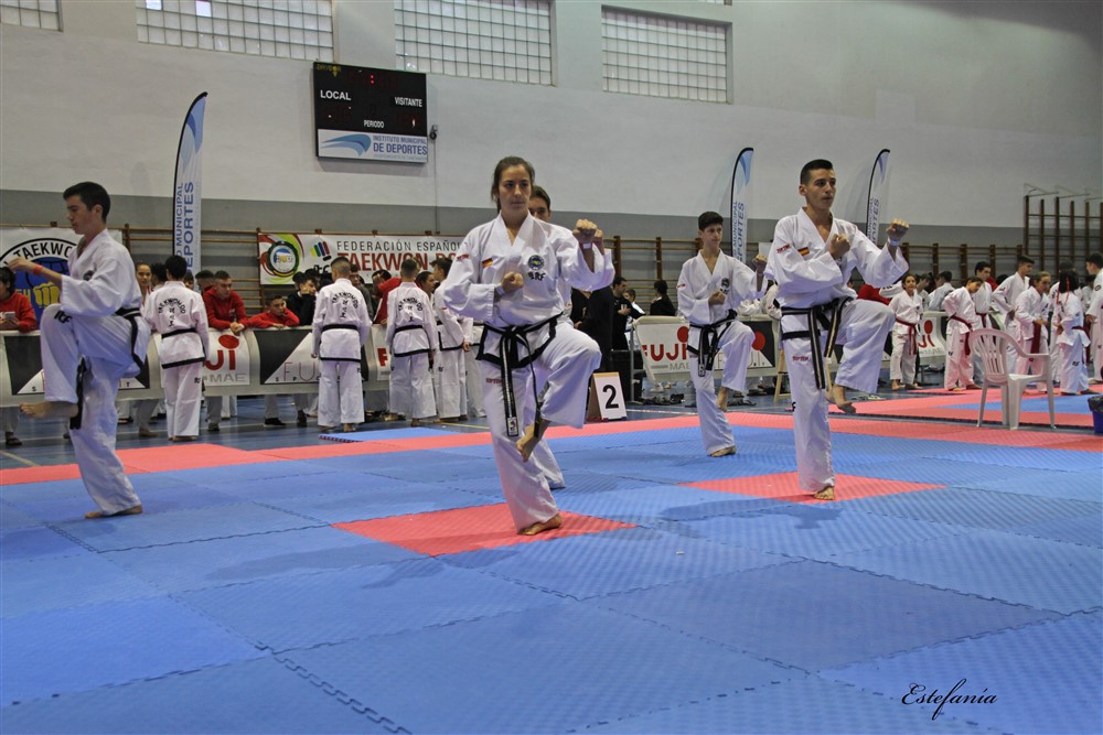 Copa Seul 2018 (328).jpg